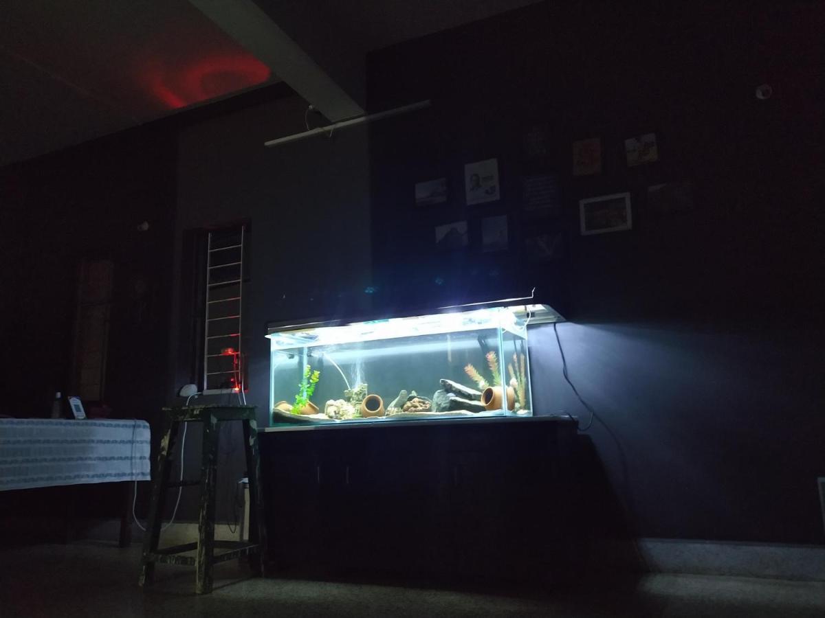 Monkey Mind Hostel مادغاون المظهر الخارجي الصورة